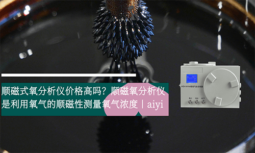 順磁式磁力機(jī)械氧分析儀